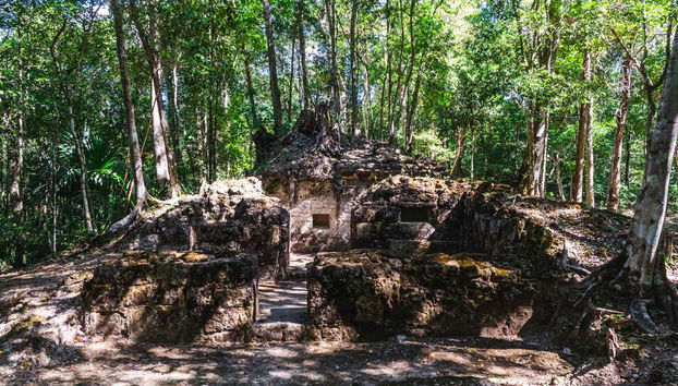 Trekking de 5 días por El Mirador y El Tintal - Foto 3