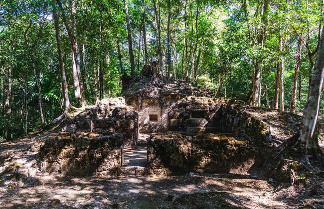 Trekking de 5 días por El Mirador y El Tintal - Foto 3