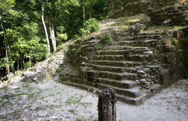 Trilha de 5 dias por El Mirador e El Tintal - Foto 2