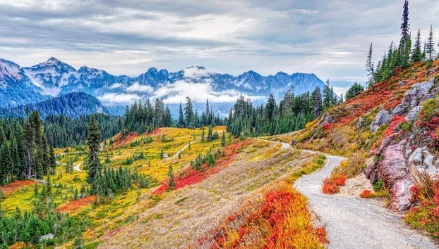 Mt Rainier Day Trip - Foto 2