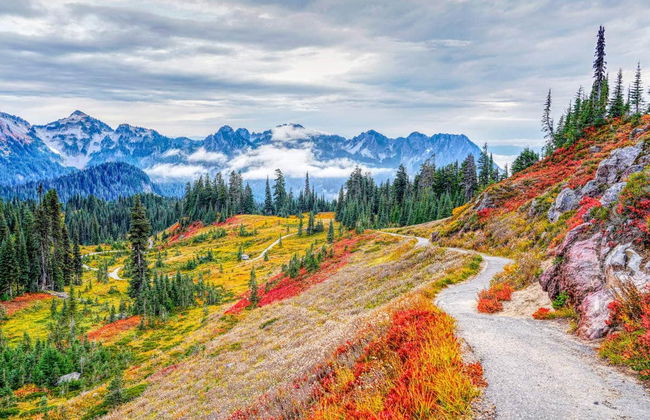 Mt Rainier Day Trip - Foto 2