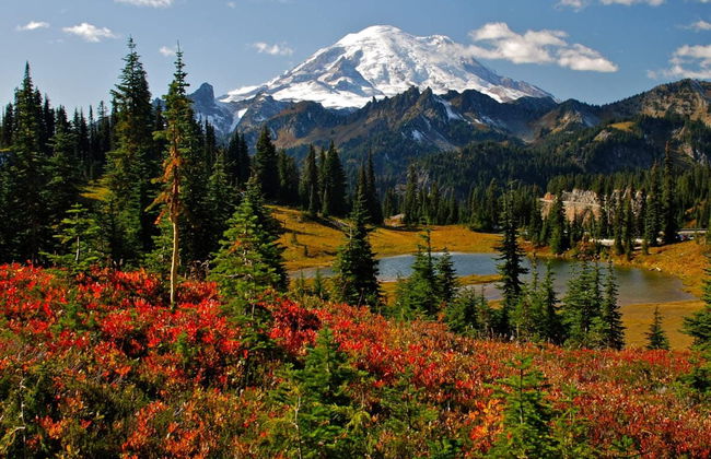 Mt Rainier Day Trip - Foto 1