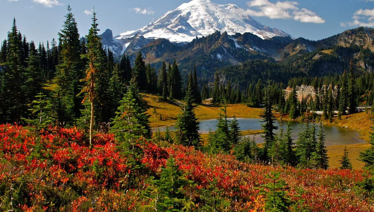 Mt Rainier Day Trip - Foto 1