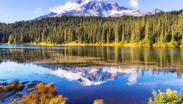 Mt Rainier Day Trip - Foto 3