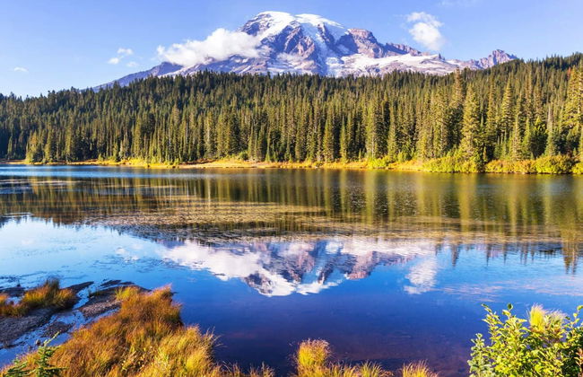 Mt Rainier Day Trip - Foto 3