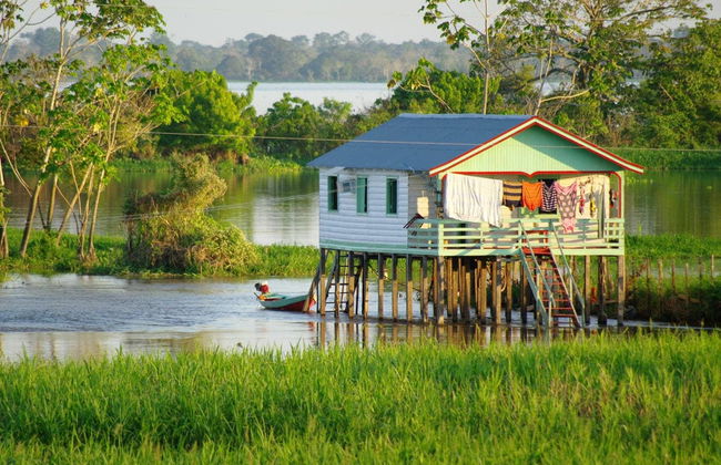 Amazon River Tour - Foto 2