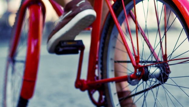 Tour di Verona in bicicletta - Foto 4