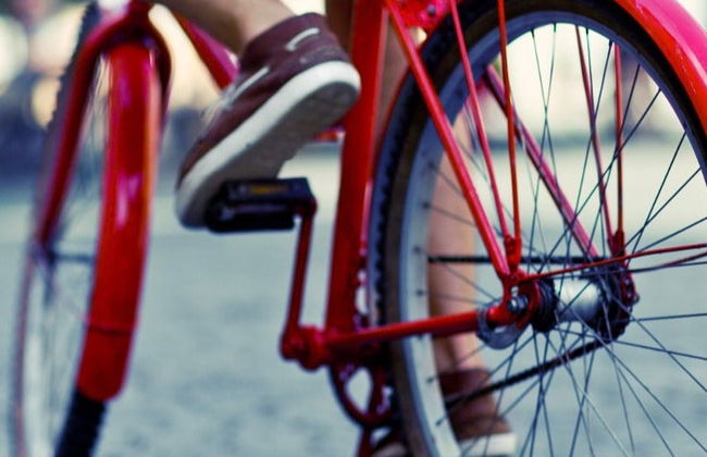 Tour di Verona in bicicletta - Foto 4