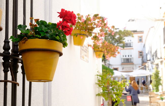 Estepona Guided Tour - Photo 7