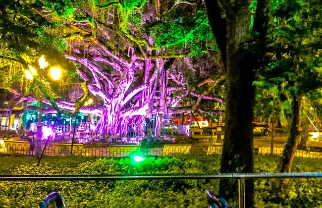 Ônibus turístico por Florianópolis ao entardecer - Foto 1