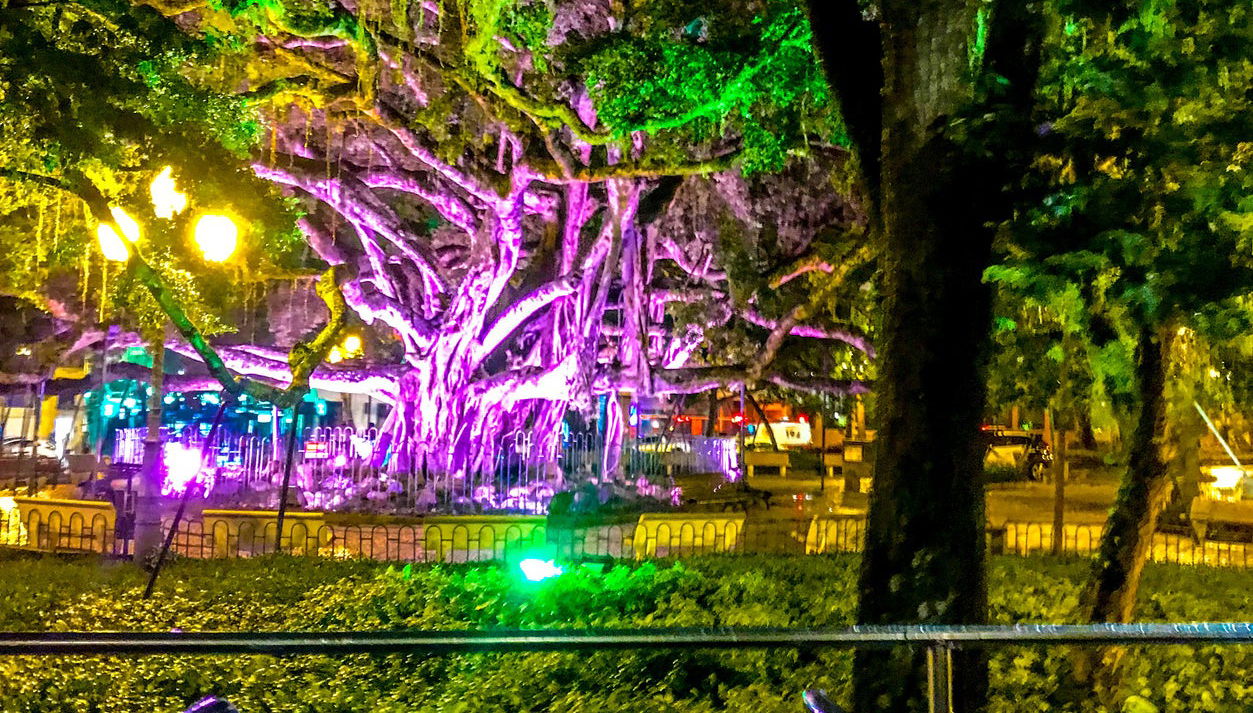 Ônibus turístico por Florianópolis ao entardecer - Foto 1