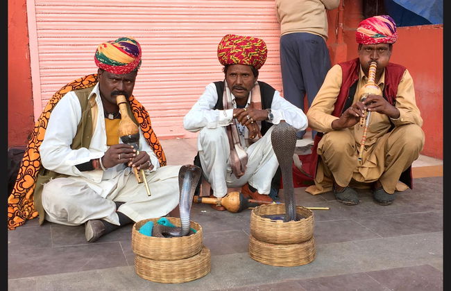 Tour privado por Jaipur y el Fuerte Amber - Foto 13
