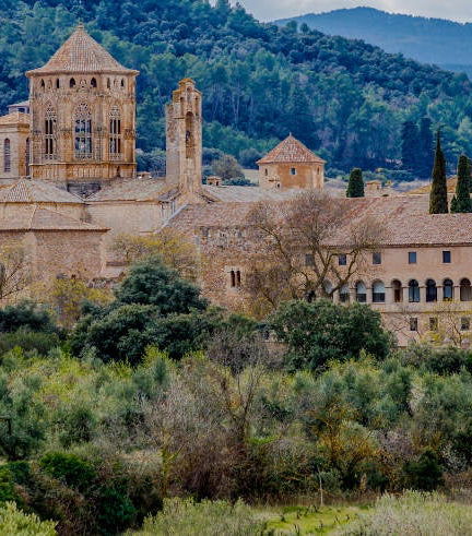 Foto de Excursión al Monasterio de Poblet