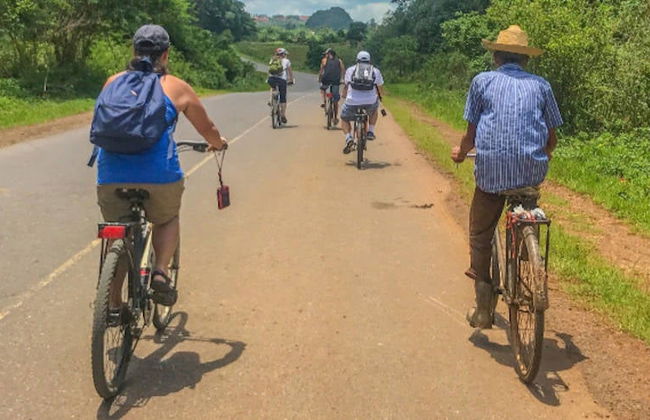 Viñales Valley Bike Tour - Foto 11