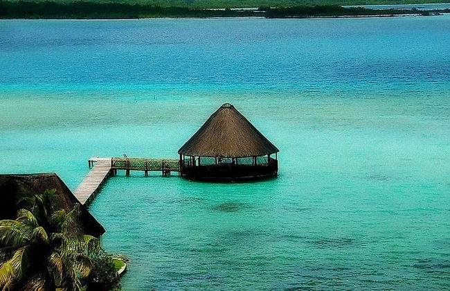 Paseo en lancha por la laguna Bacalar - Foto 3