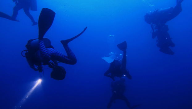 Buceo nocturno en Koh Tao - Foto 5