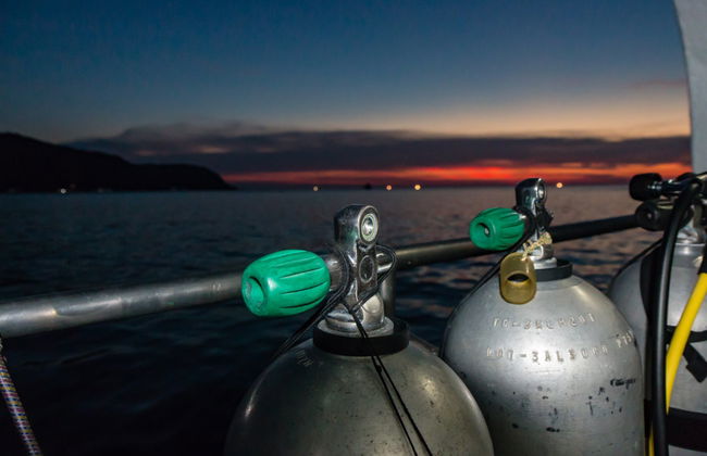 Koh Tao Night Diving - Photo 7