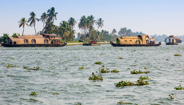 Crucero privado de 2 días por Alappuzha en una casa flotante - Foto 4