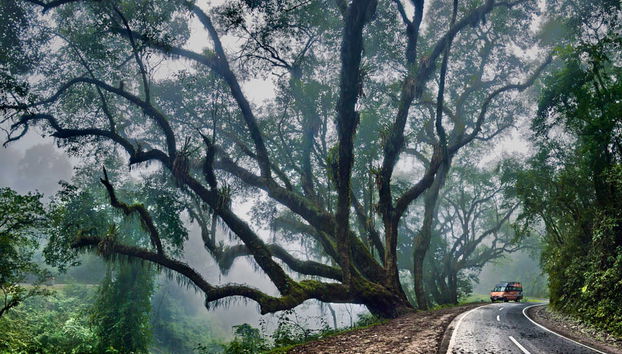 Calilegua National Park Tour - Foto 4