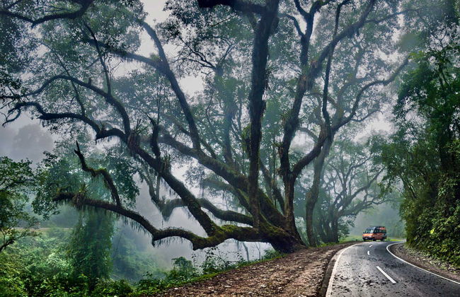 Calilegua National Park Tour - Foto 4