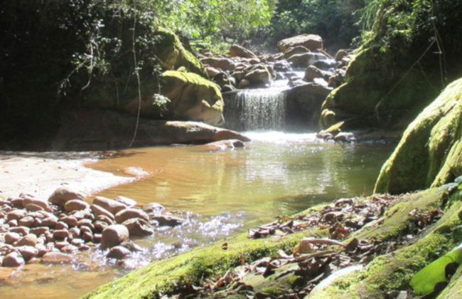 Calilegua National Park Tour - Photo 2