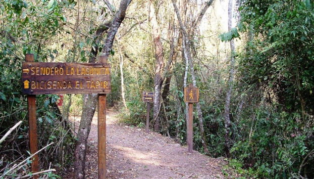 Calilegua National Park Tour - Foto 5