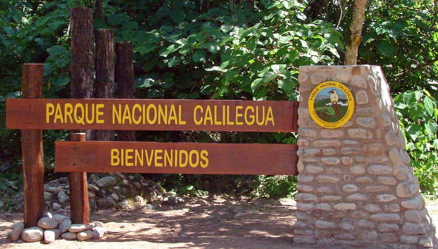 Calilegua National Park Tour - Foto 2