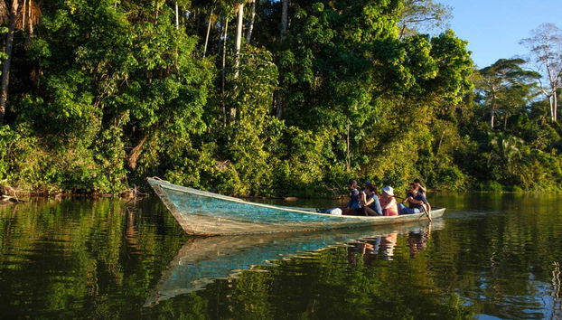 Amazon Rainforest: 4 or 5-Day Tour - Foto 2