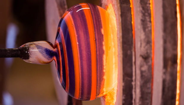 Avvistamento di balene + Visita a una fabbrica di vetro - Foto 5