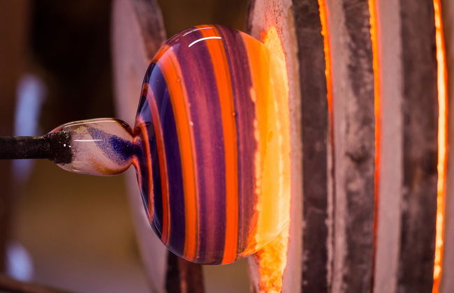 Avvistamento di balene + Visita a una fabbrica di vetro - Foto 5