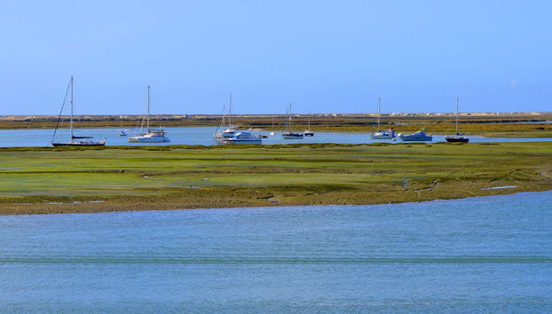 Paseo en catamarán por la Ría Formosa al atardecer - Foto 3