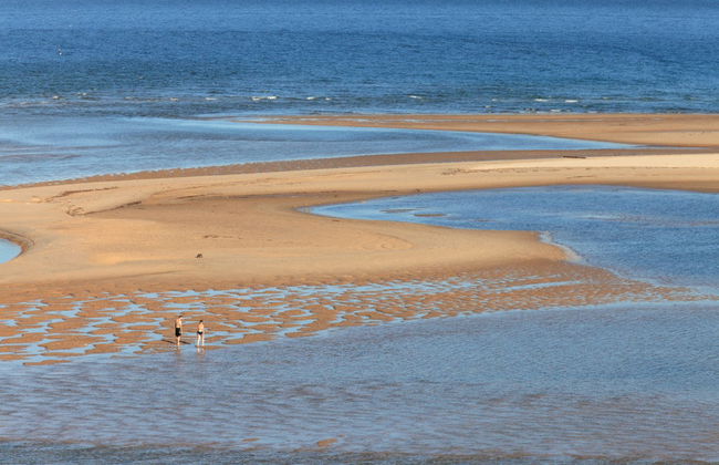 Paseo en catamarán por la Ría Formosa al atardecer - Foto 1