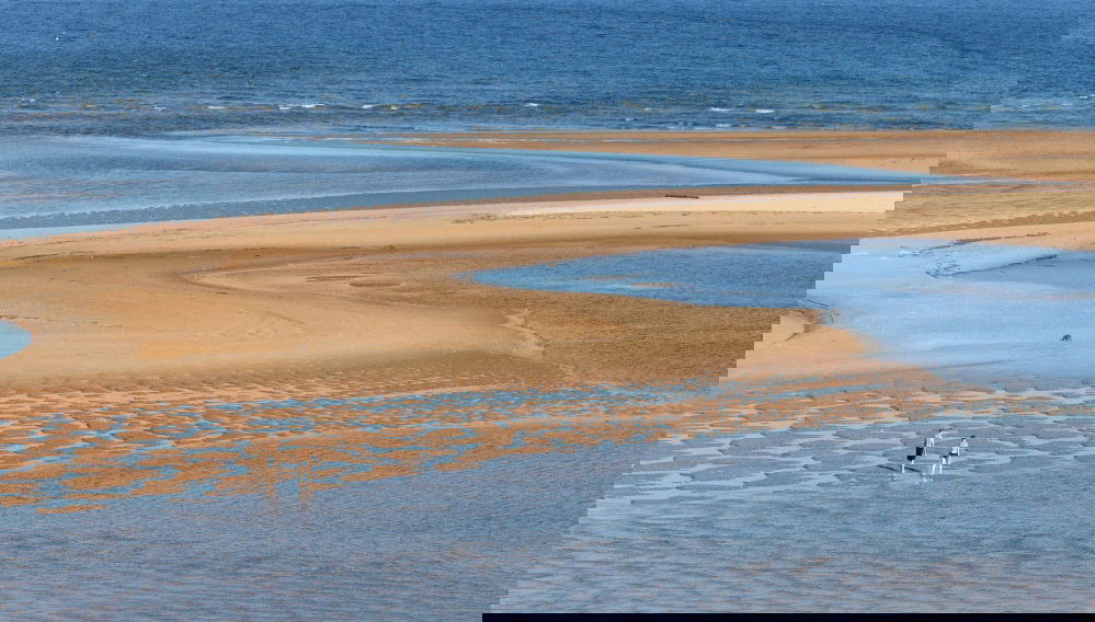 Paseo en catamarán por la Ría Formosa al atardecer - Foto 1