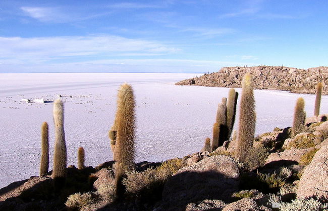 Excursión de 3 días a La Paz y al Salar de Uyuni - Foto 3