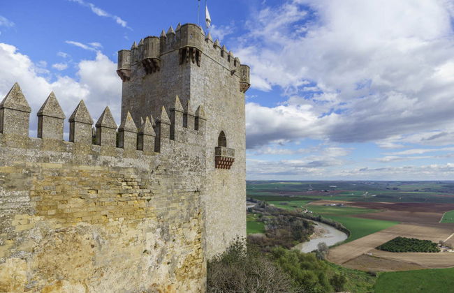 Visite théâtralisée du château d'Almodóvar del Río - Photo 3