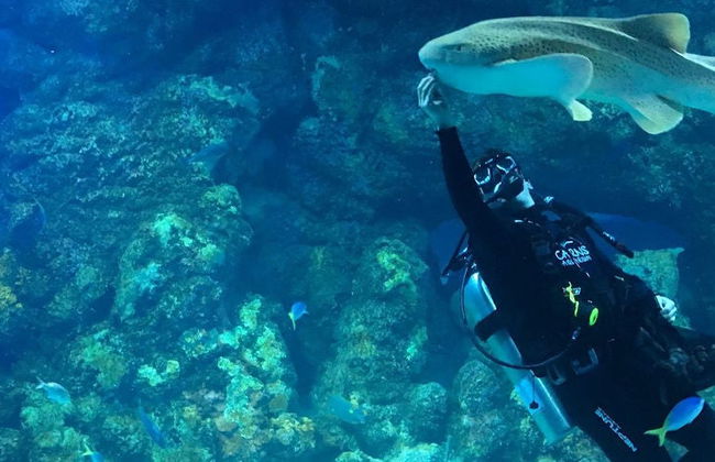 Cairns Aquarium Ticket - Foto 13