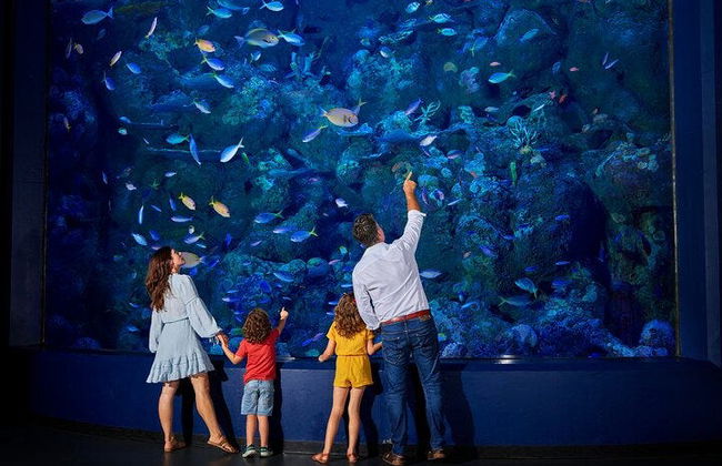 Cairns Aquarium Ticket - Foto 10