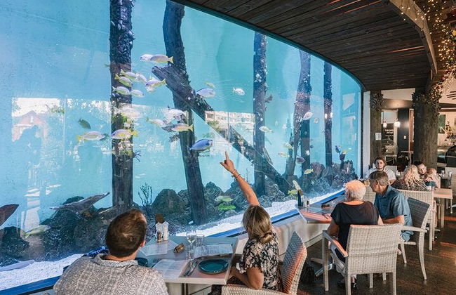Cairns Aquarium Ticket - Photo 9