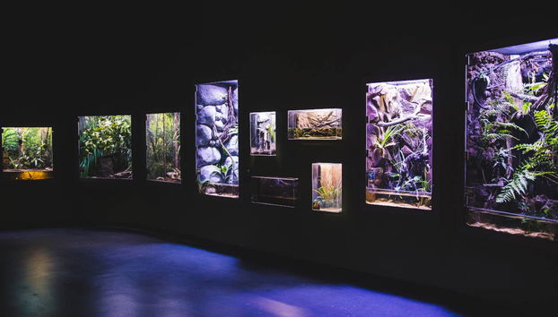 Biglietti per l'acquario di Cairns - Foto 4
