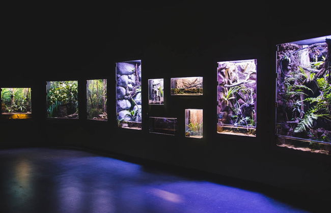 Cairns Aquarium Ticket - Foto 4