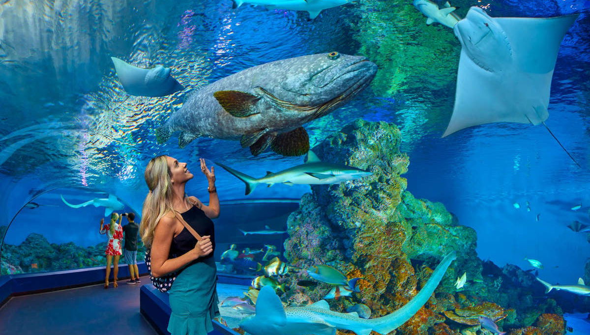 Biglietti per l'acquario di Cairns - Foto 1
