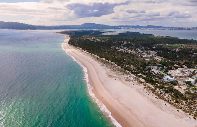 Sado Estuary Dolphin Watching & Arrábida Tour - Foto 1