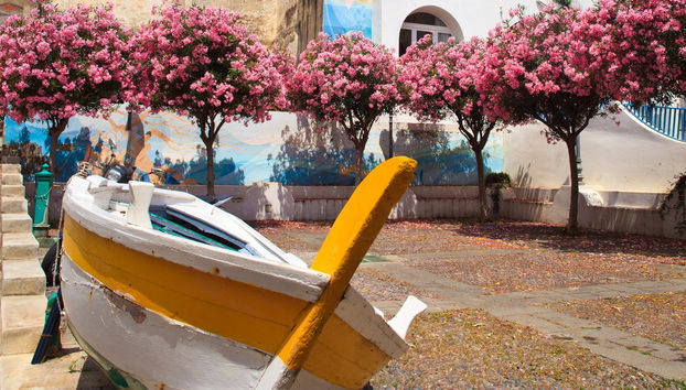 Salina Excursion - Foto 2