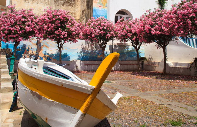 Salina Excursion - Foto 2