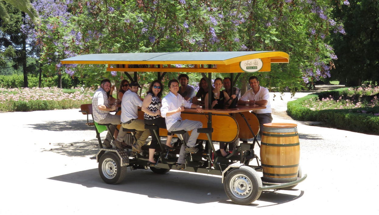 Tour privado en pedal bar por la bodega Viña Santa Rita - Foto 1
