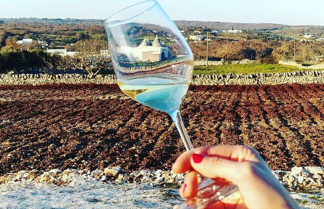 Itria Valley Wine Tasting - Photo 6