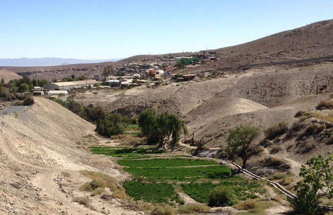 Mamiña Day Trip - Foto 6