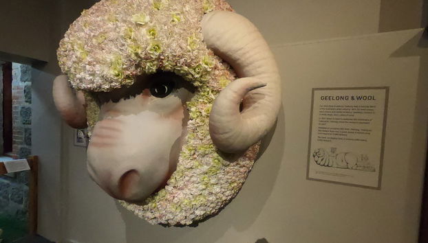 Visita guiada por Geelong - Foto 2