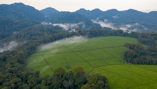 Tour de 7 días por Ruanda - Foto 3