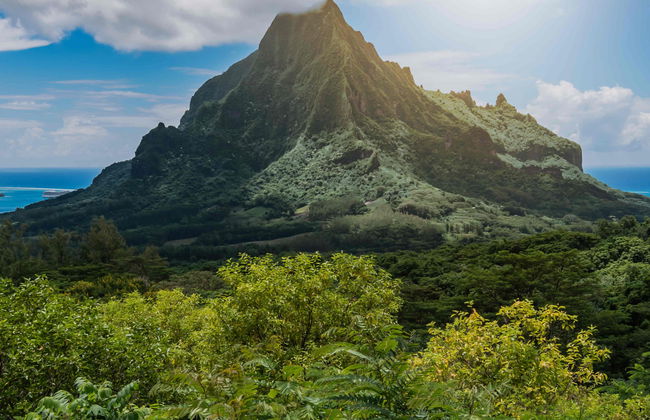 Tour por Moorea - Foto 7